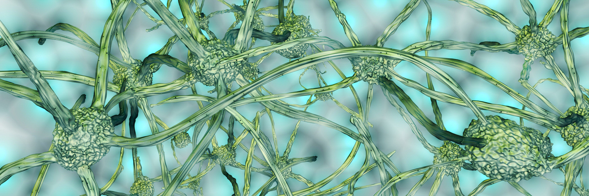 thick-neural-header